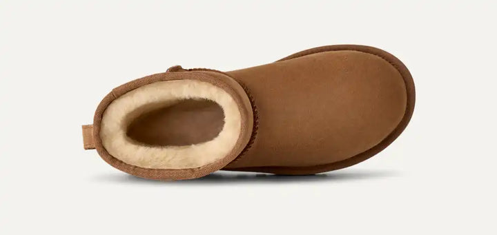 Women's Classic Mini II Boot Chestnut